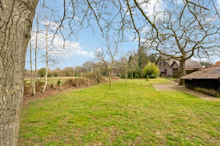 Photo 56 of Wolfsberg 14-A