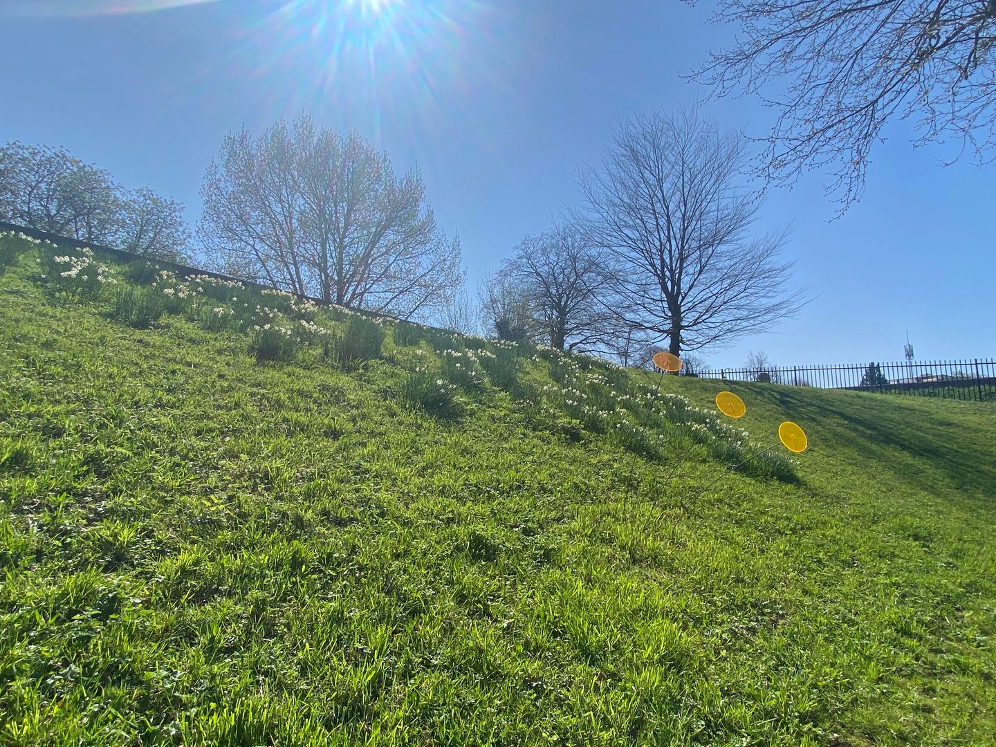 Foto 4 van Molenstraat 109-E