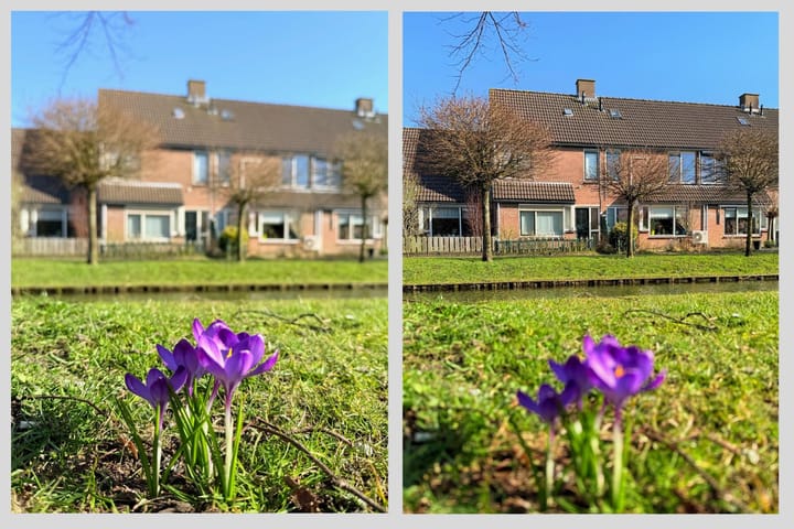 Foto 39 van Dreef 45