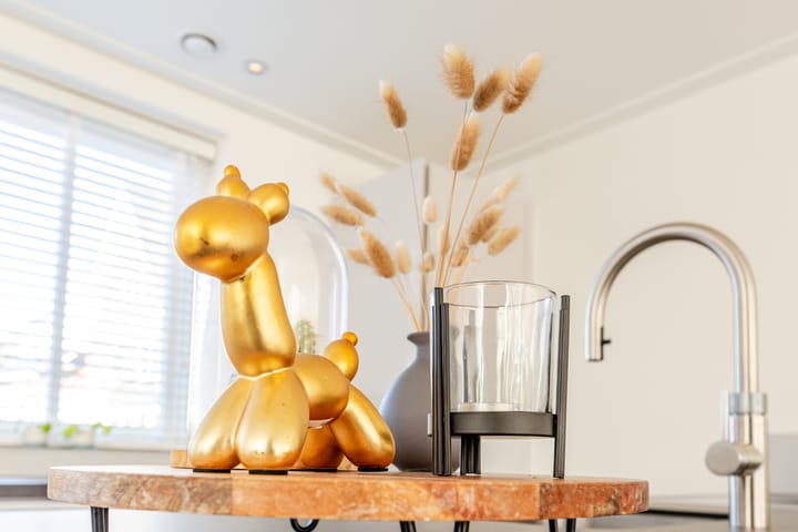 Foto 15 van Stuurboord 55