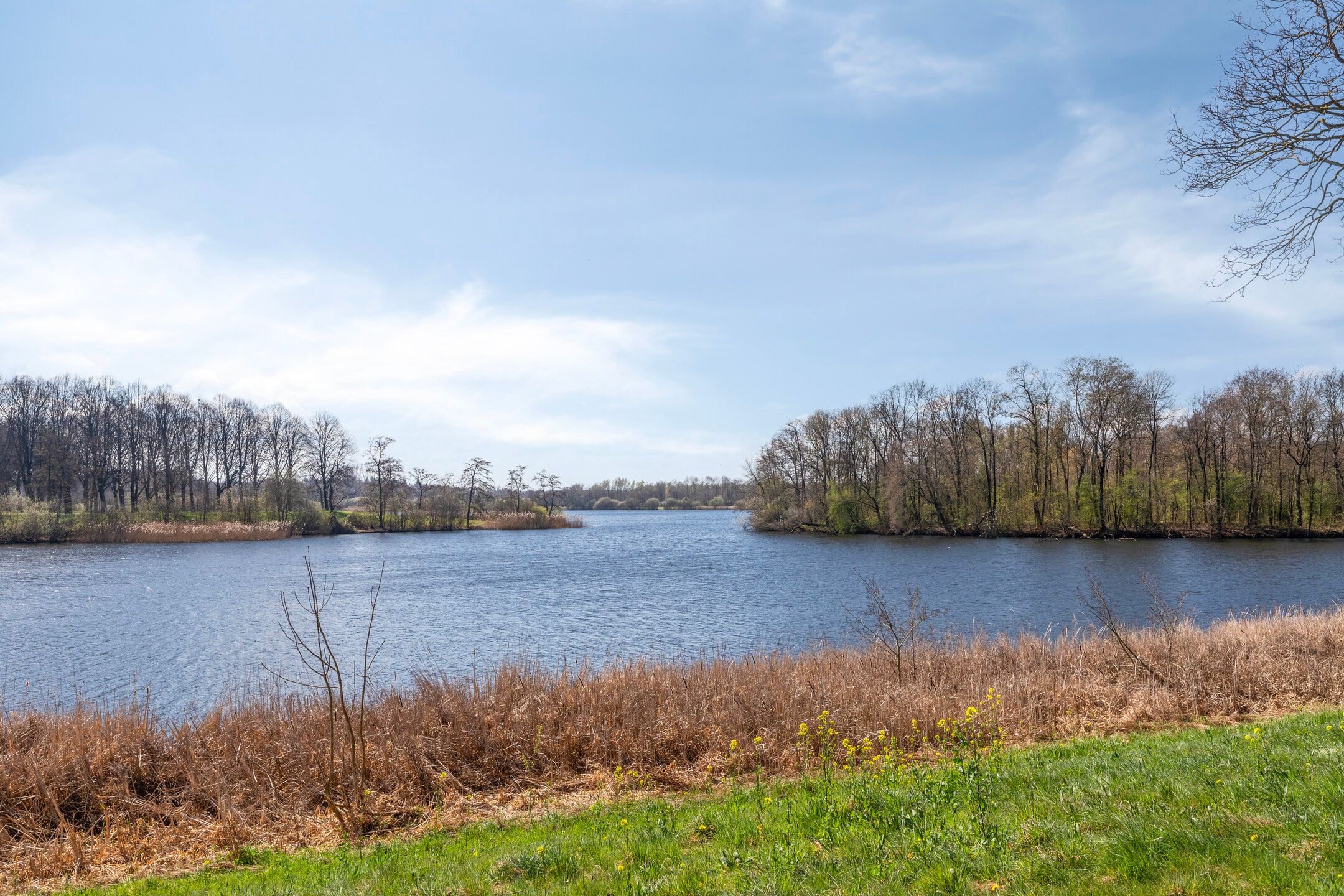 Foto 39 van Pettelaarseweg 577