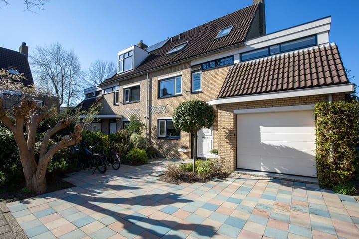 Foto 2 van Blauwkarper 4