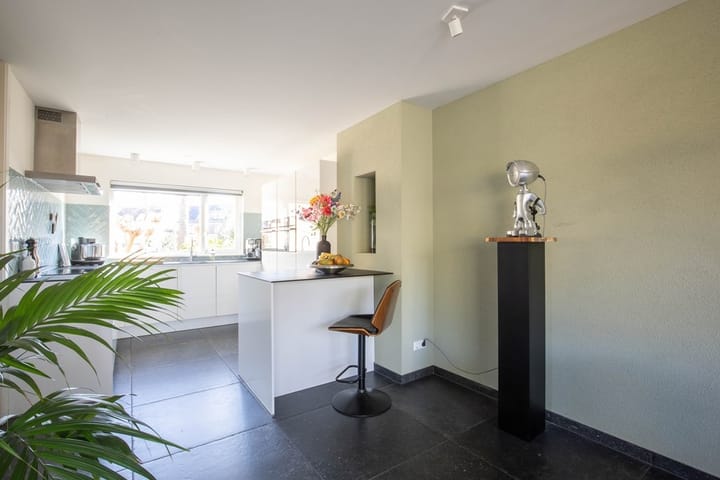 Foto 5 van Blauwkarper 4