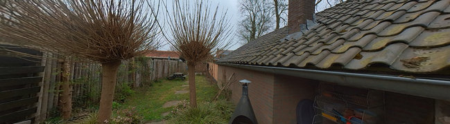 Achtertuin