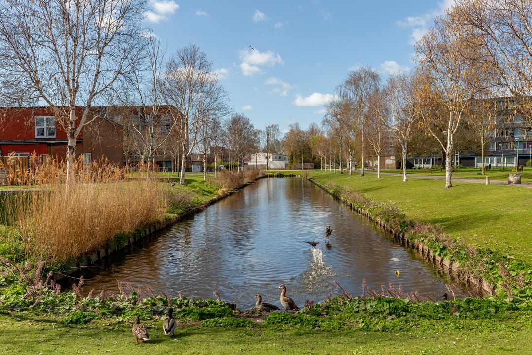 Foto 32 van Dr Wibautplein 150