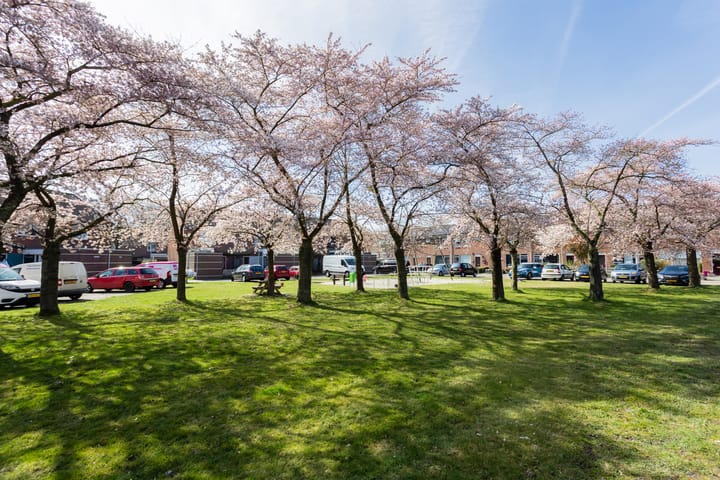 Foto 1 van Pallas 23