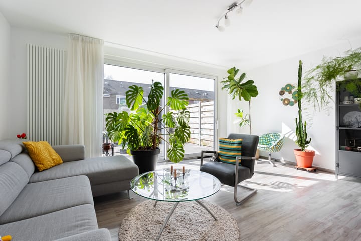 Foto 12 van Pallas 23