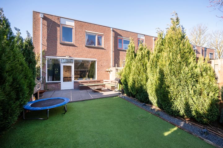 Foto 5 van Kamelenspoor 223