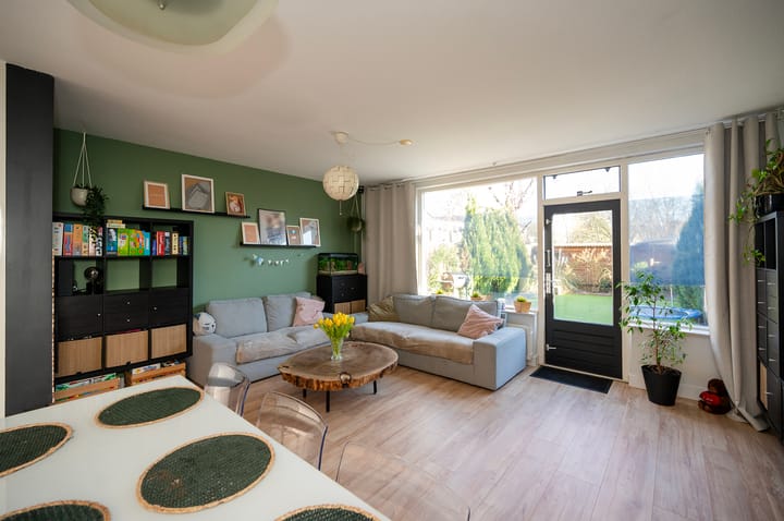 Foto 15 van Kamelenspoor 223