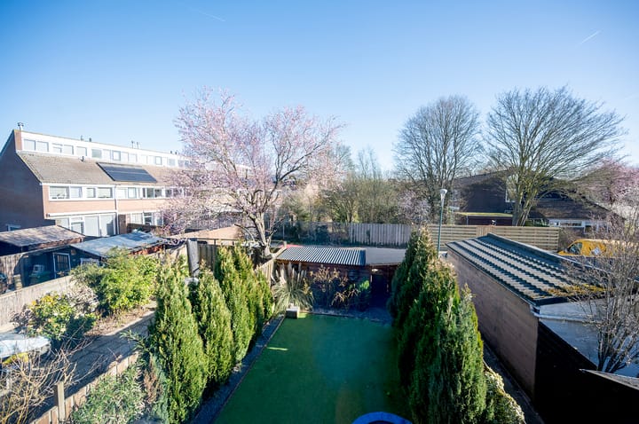 Foto 25 van Kamelenspoor 223