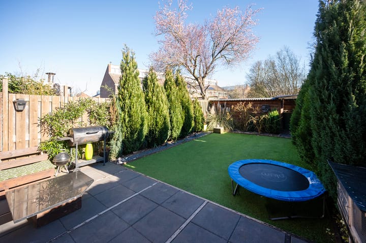 Foto 34 van Kamelenspoor 223