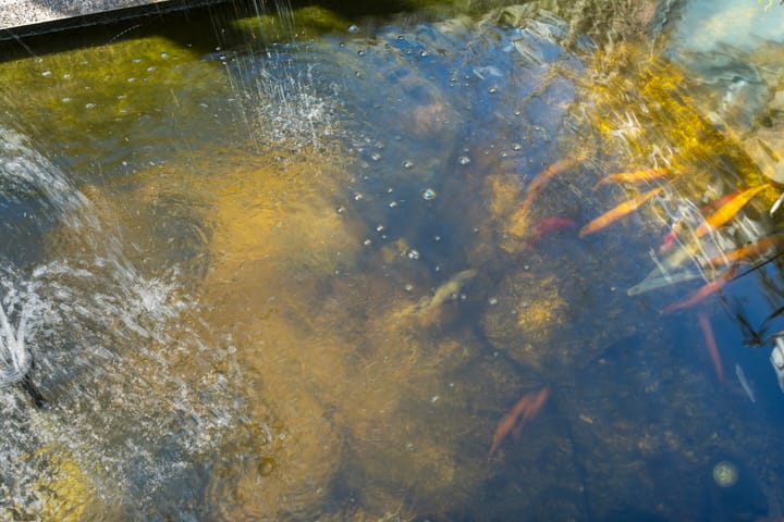 Foto 28 van Dommelhoefstraat 42