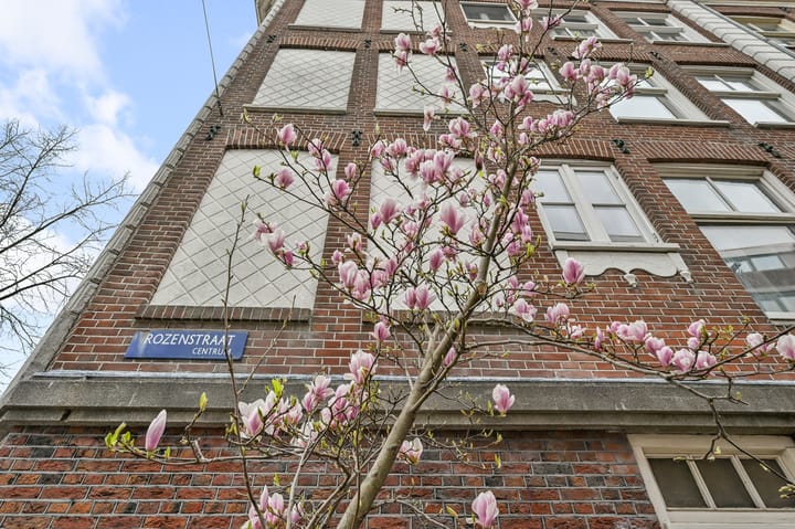 Foto 16 van Rozenstraat 204-E