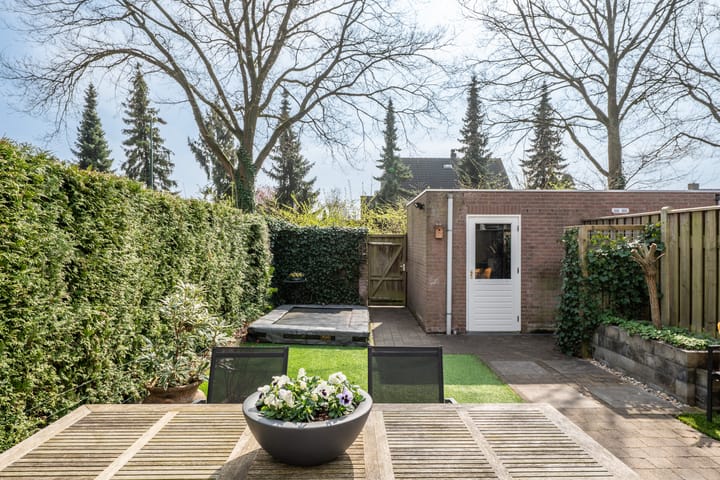 Foto 31 van de Borstelmaker 12