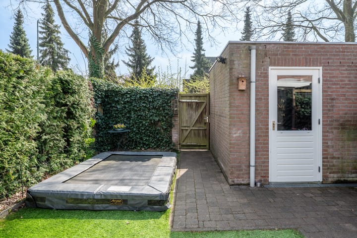 Foto 33 van de Borstelmaker 12