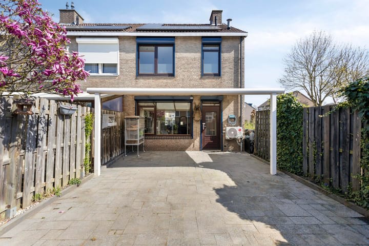 Foto 4 van Fossielenerf 40