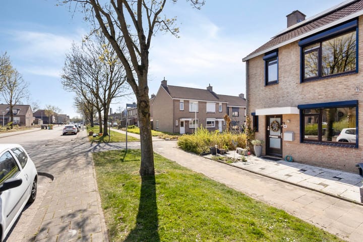 Foto 5 van Fossielenerf 40