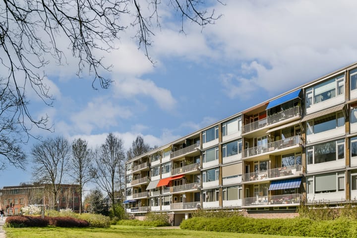 Photo 6 of Populierenlaan 533