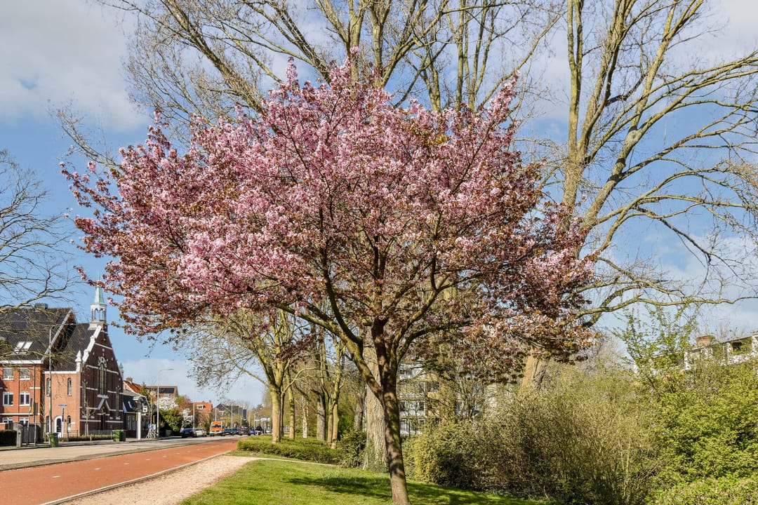 Foto 31 van Populierenlaan 533