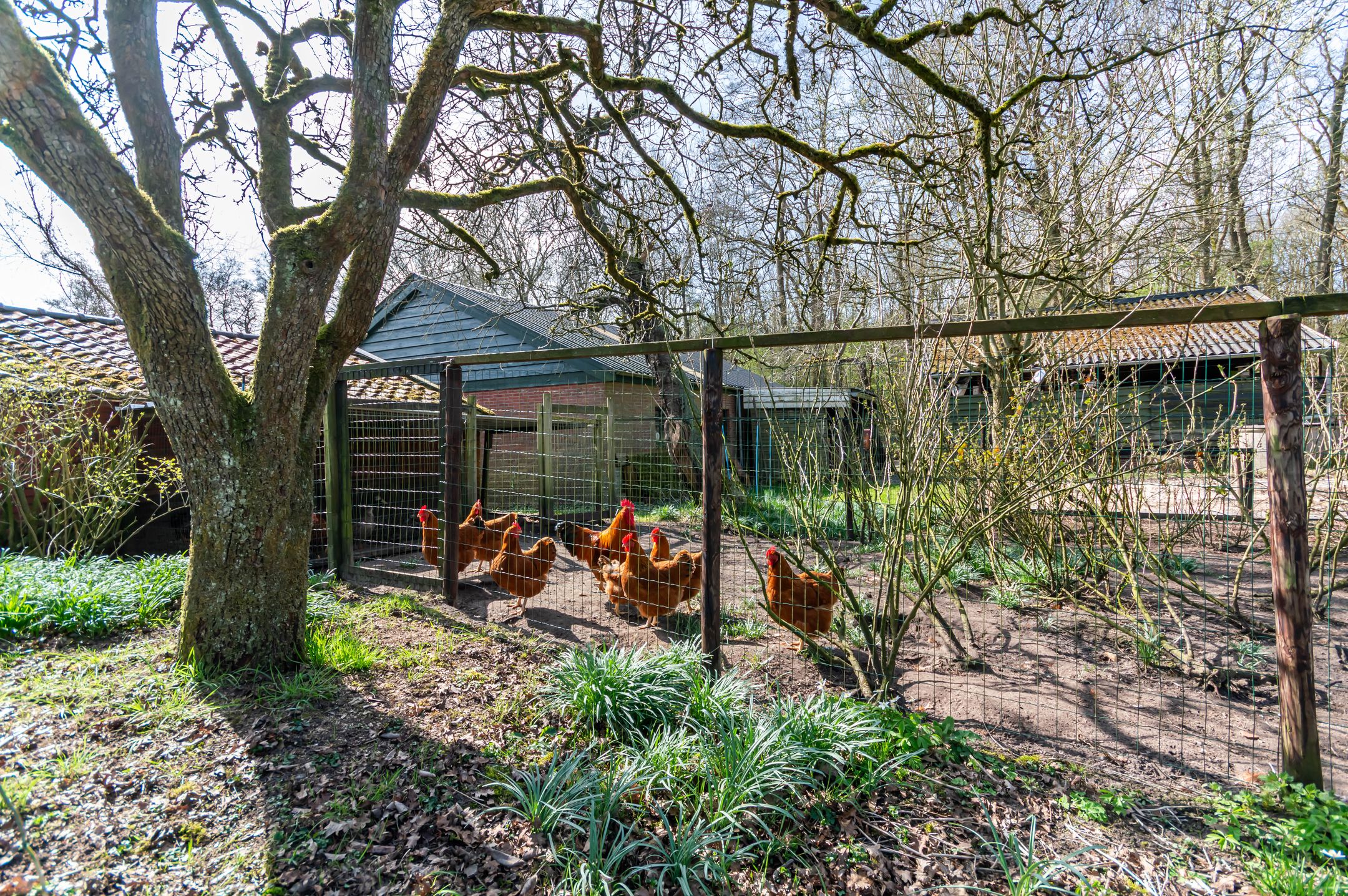 Foto 15 van Melkweg 4