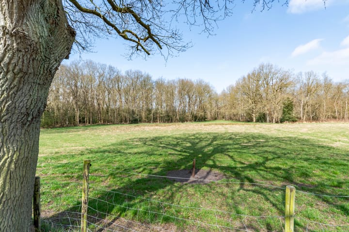 Foto 19 van Melkweg 4