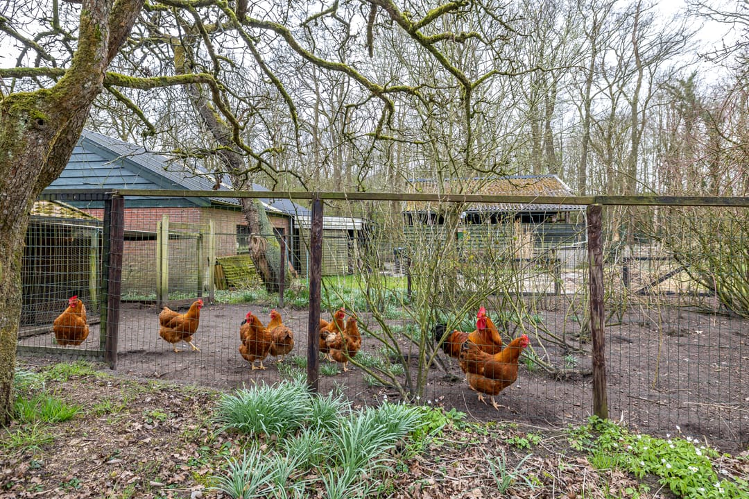 Foto 22 van Melkweg 4