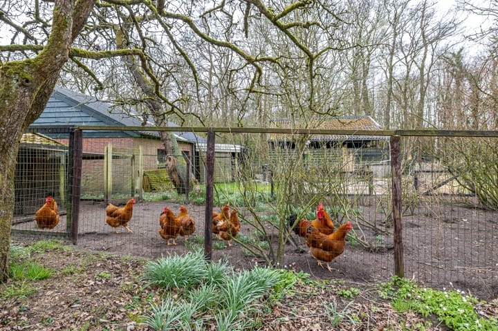 Foto 22 van Melkweg 4