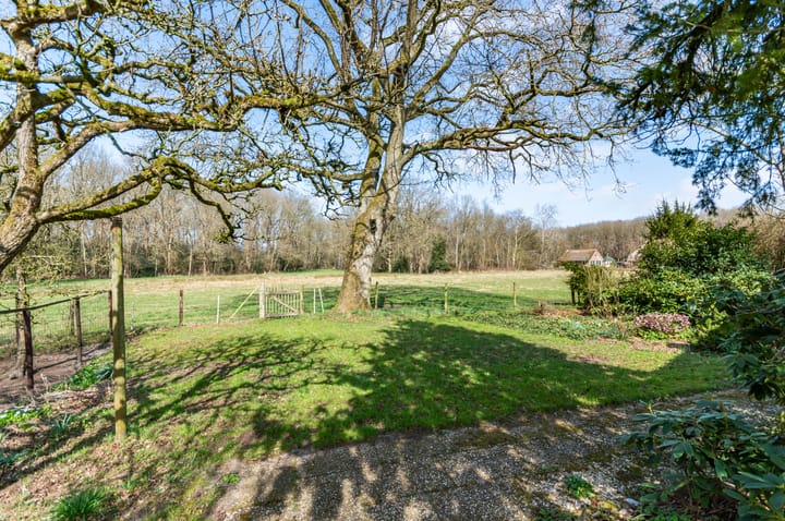 Foto 10 van Melkweg 4