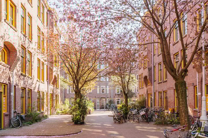 Foto 2 van Balistraat 135-A