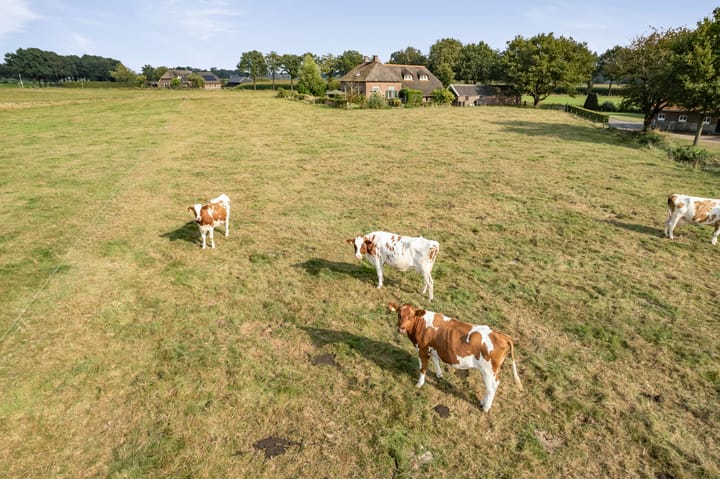 Photo 66 of Gorsselseweg 32