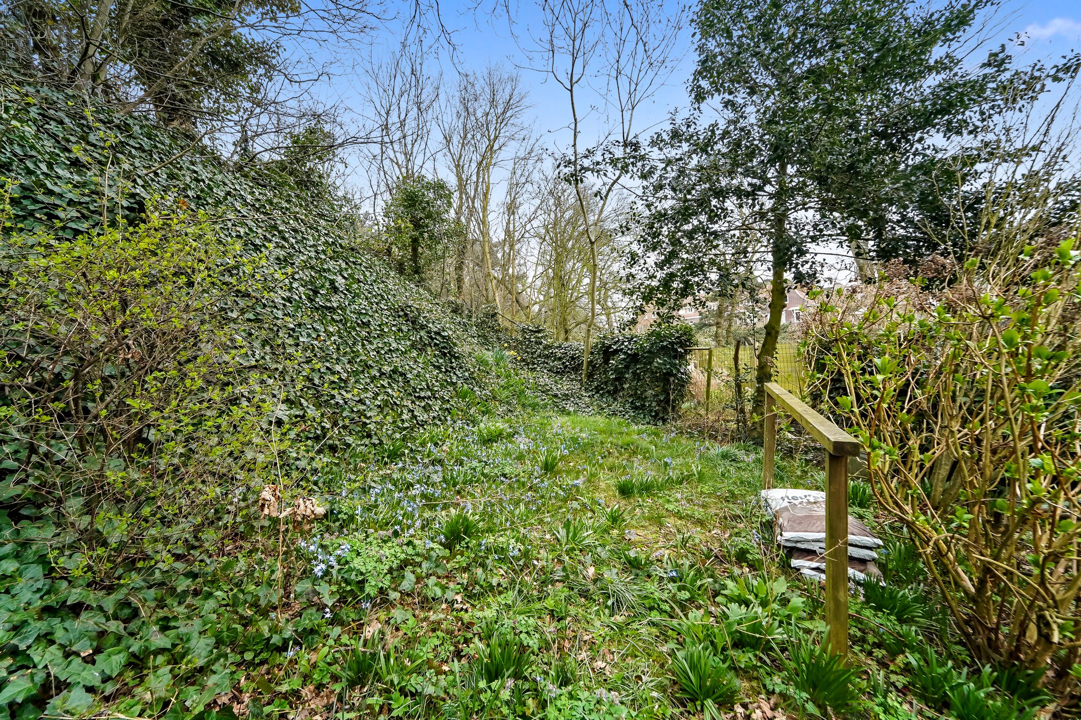 Foto 24 van Helmstraat 10