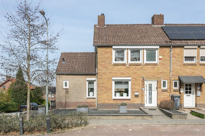 undefined main image
