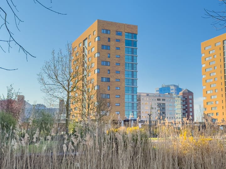 Photo 1 of Buizerdhof 125