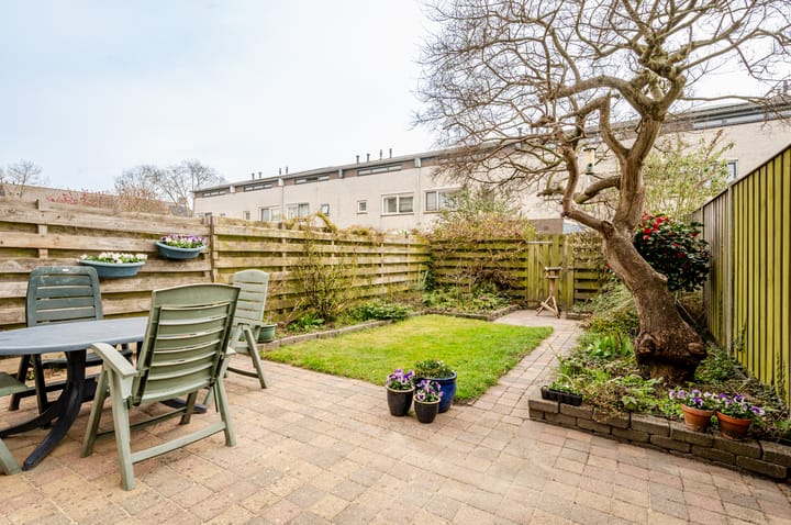 Foto 31 van Okapistraat 27