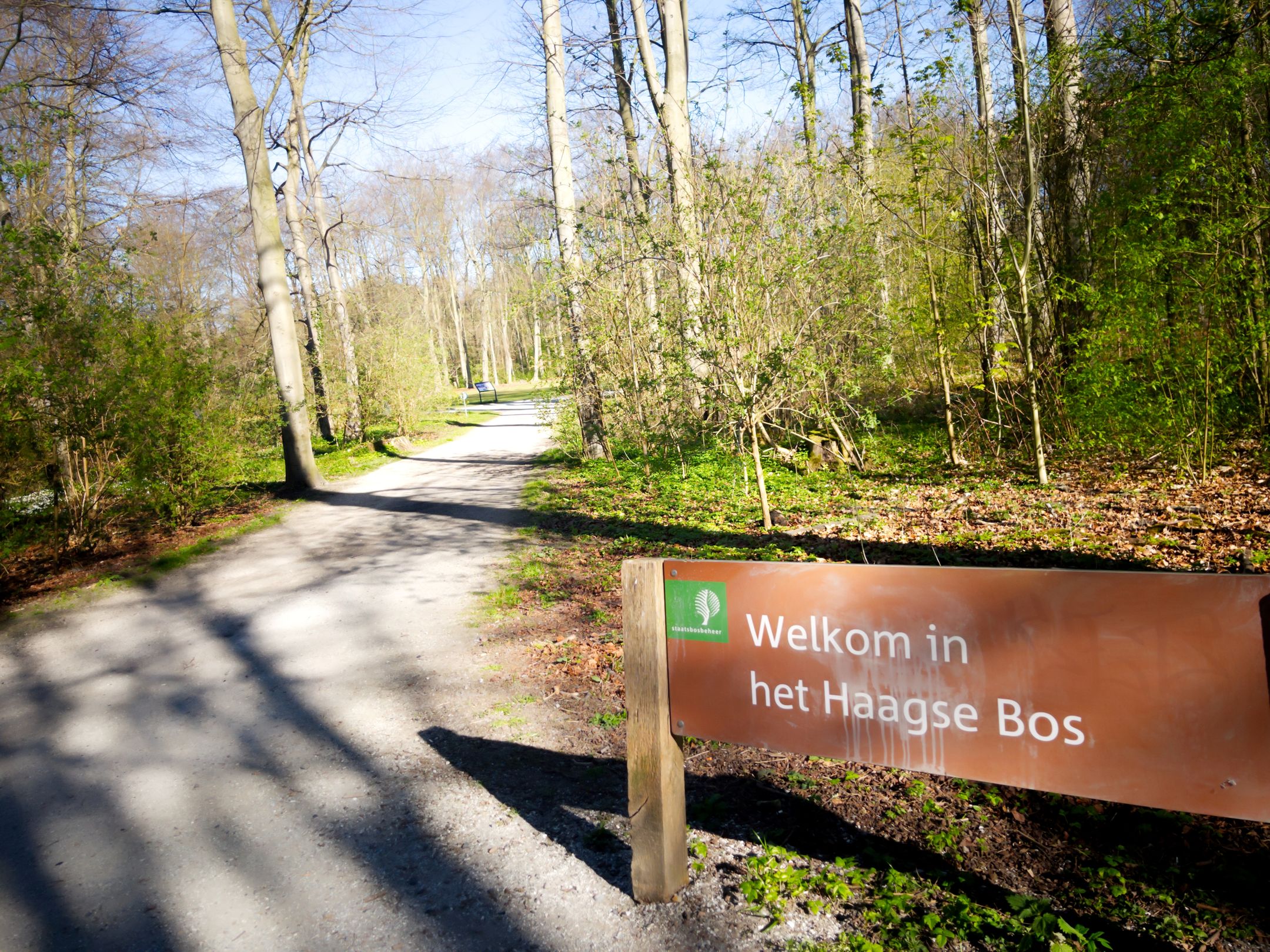 Photo 54 of Adelheidstraat 62