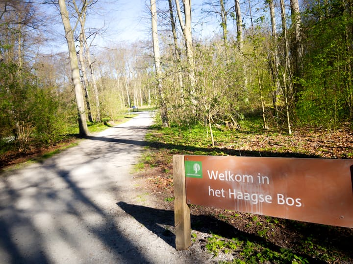 Foto 53 van Adelheidstraat 62