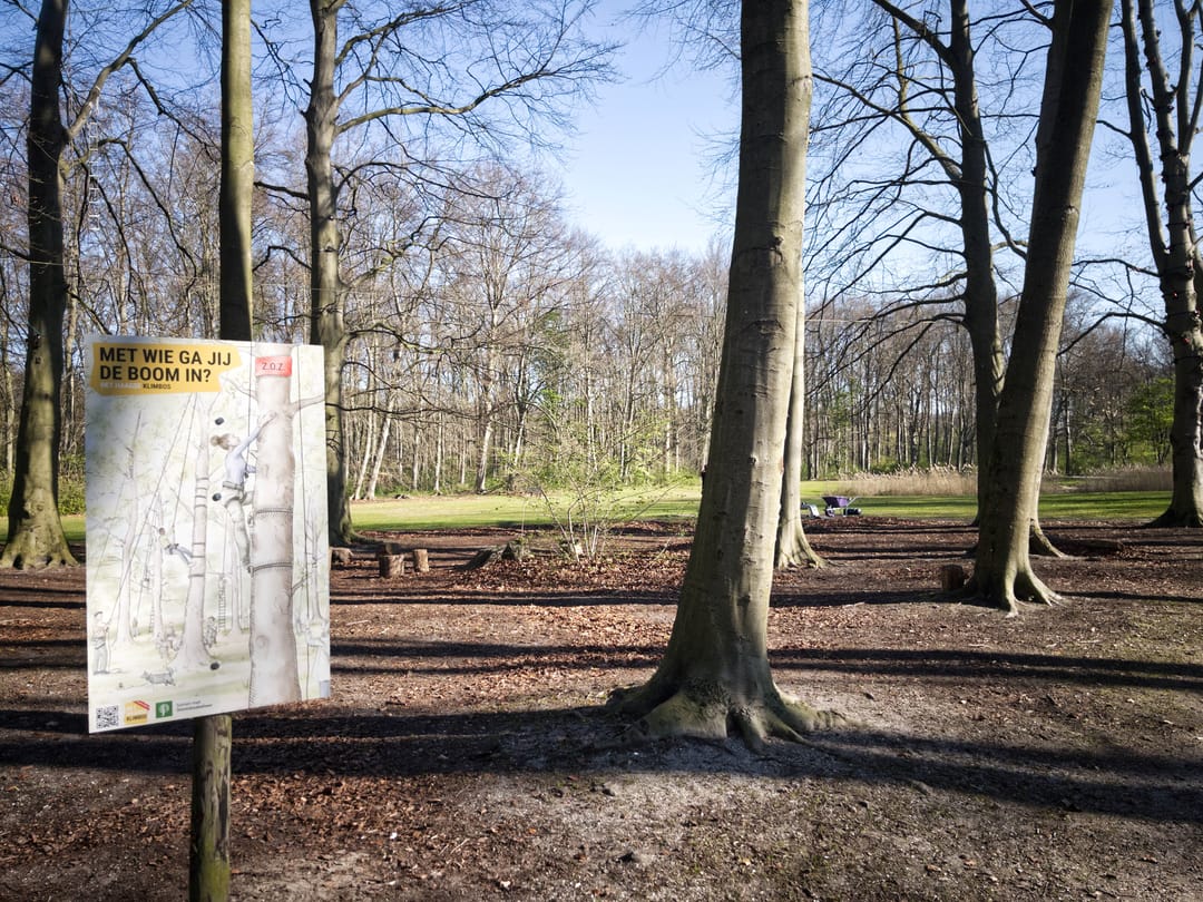 Photo 56 of Adelheidstraat 62