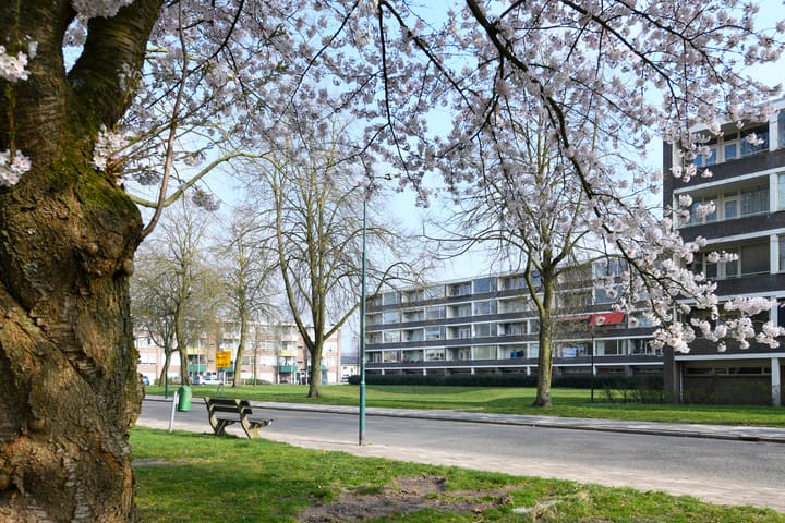 Foto 20 van Rubenslaan 100