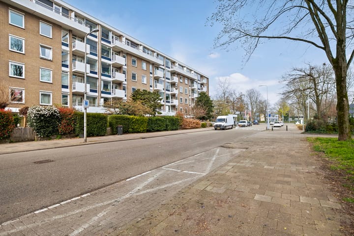 Foto 3 van Ravellaan 101