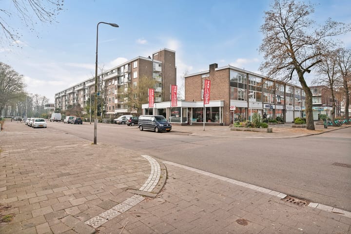 Foto 4 van Ravellaan 101