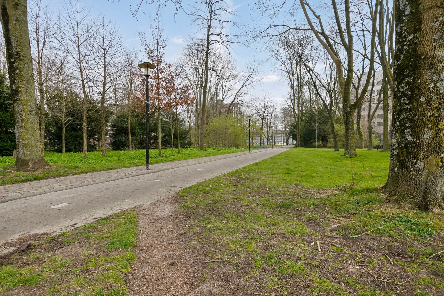 Foto 34 van Ravellaan 101