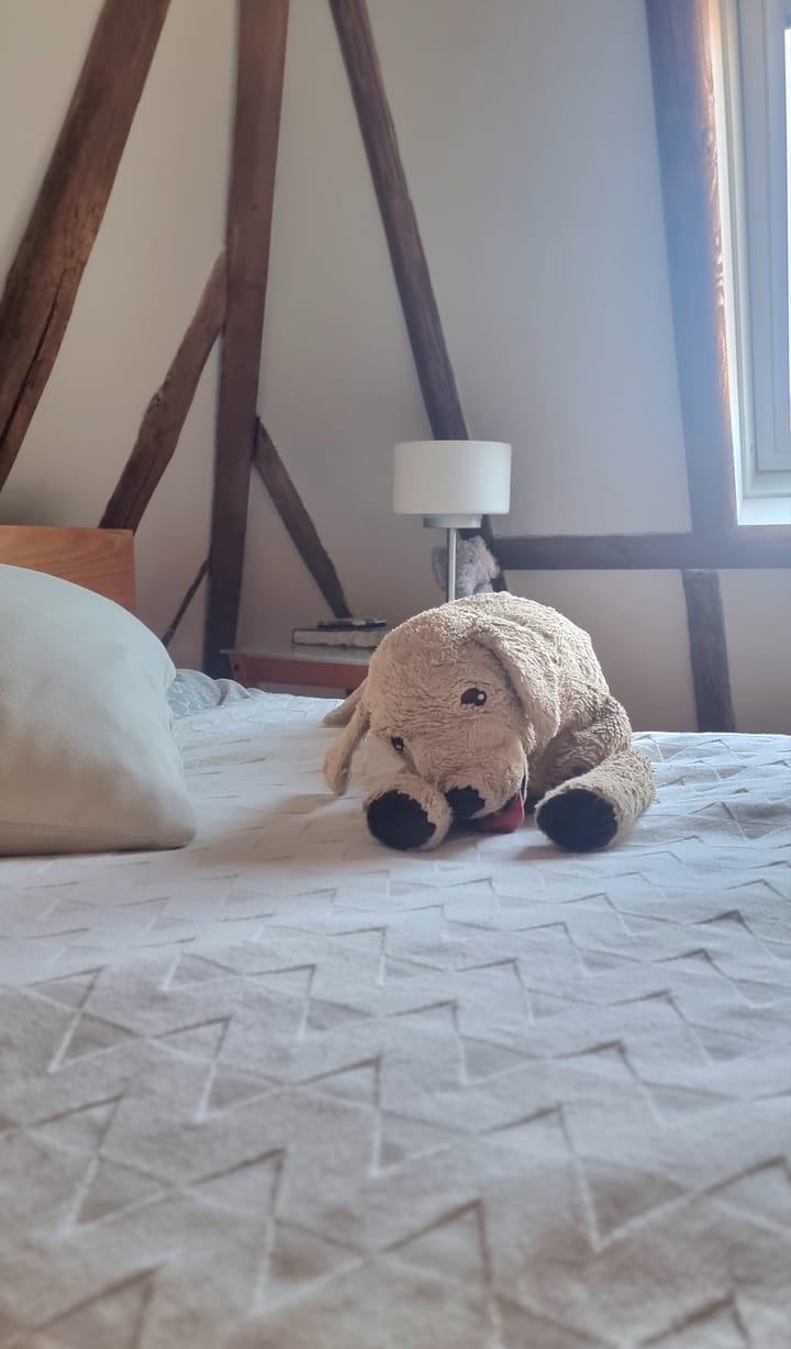 Foto 60 van Botermarkt 20