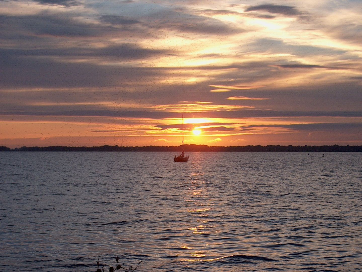 Foto 50 van Veneweg 292-45