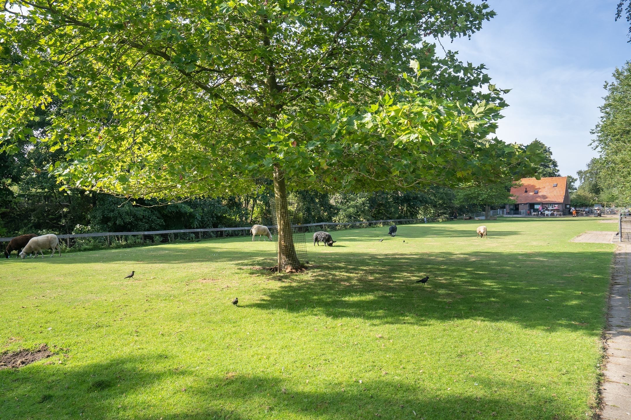 Foto 24 van Lavendelstraat 57