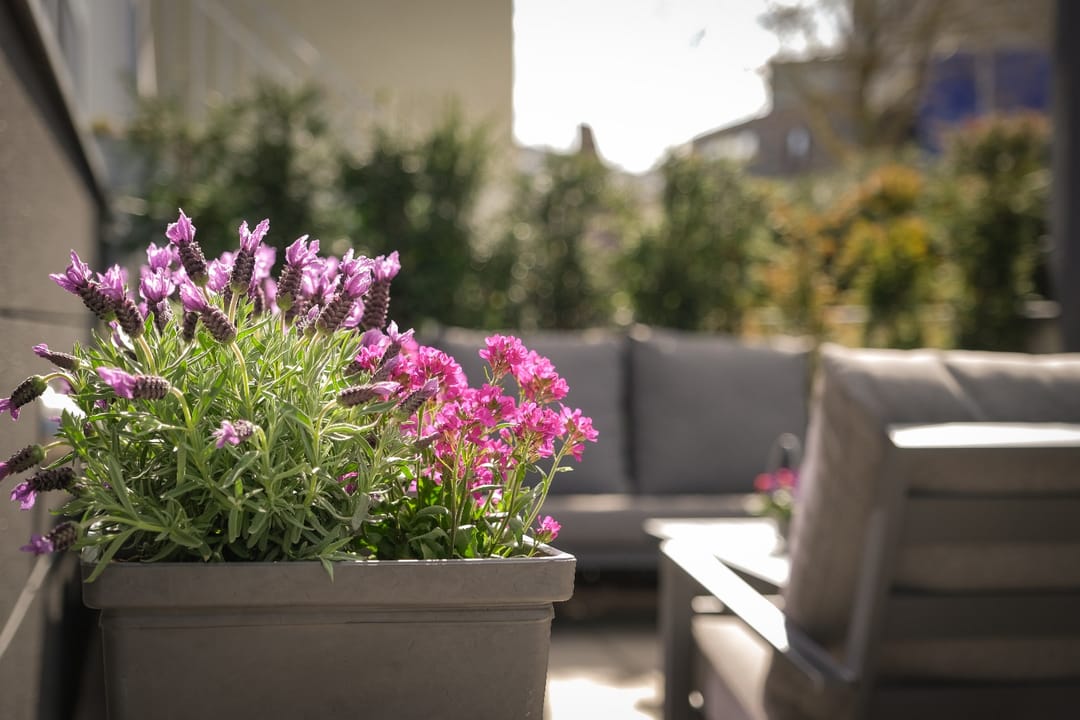 Foto 22 van Het Baken 12