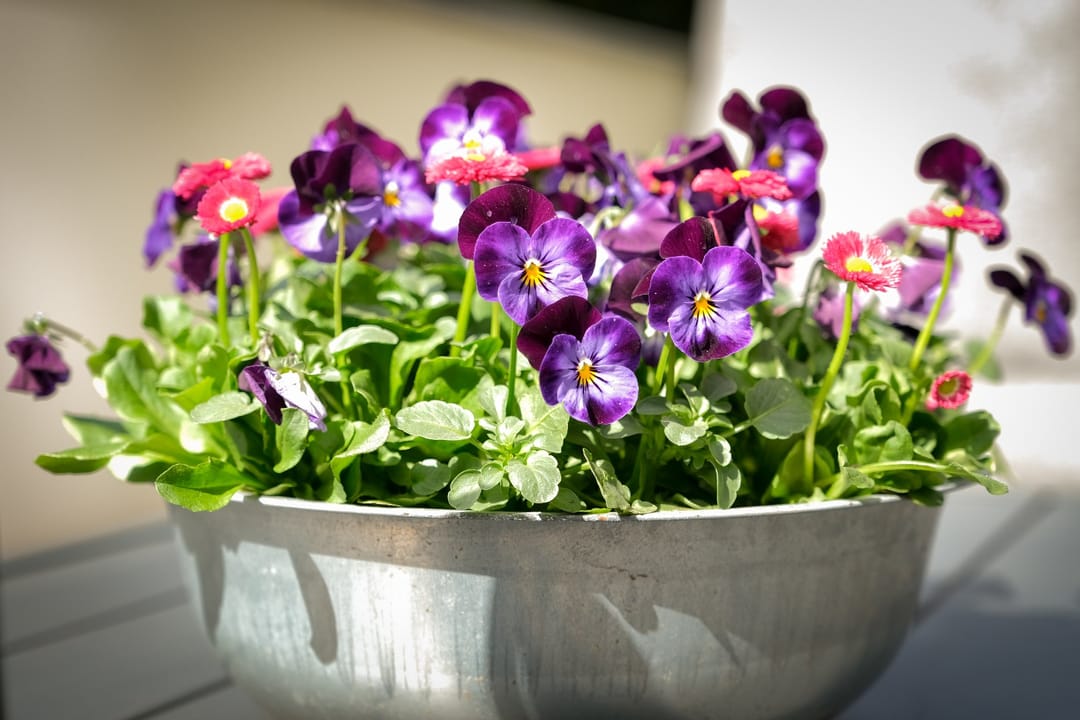 Foto 41 van Het Baken 12