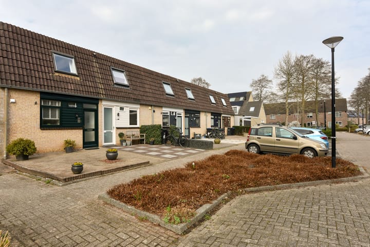 Foto 20 van Zorggras 29