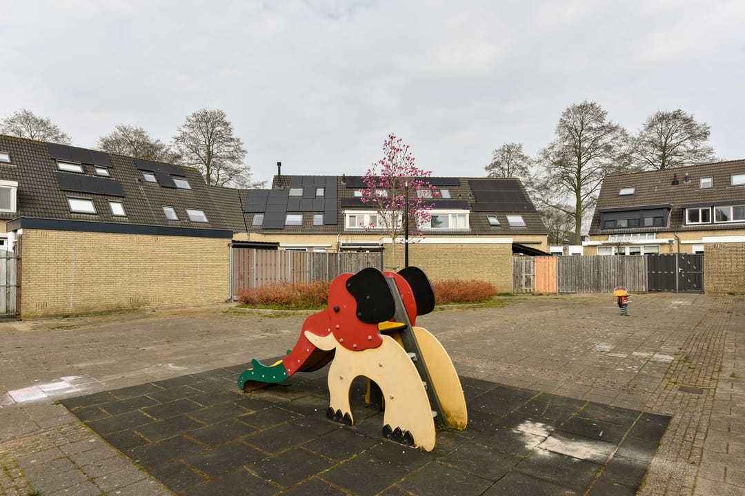 Foto 26 van Zorggras 29