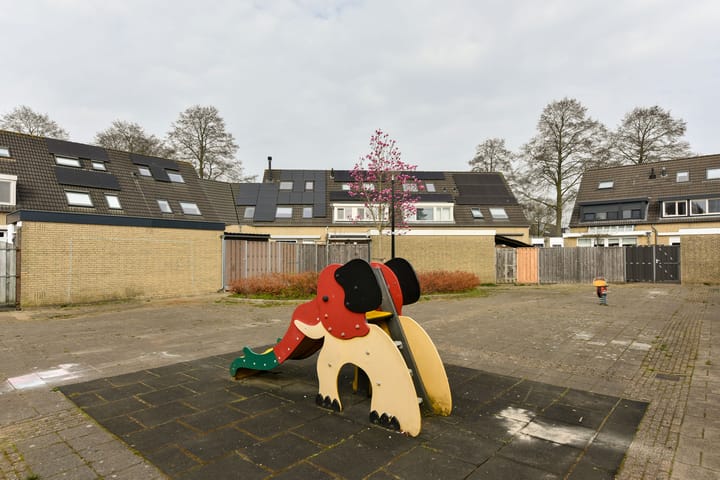 Foto 26 van Zorggras 29