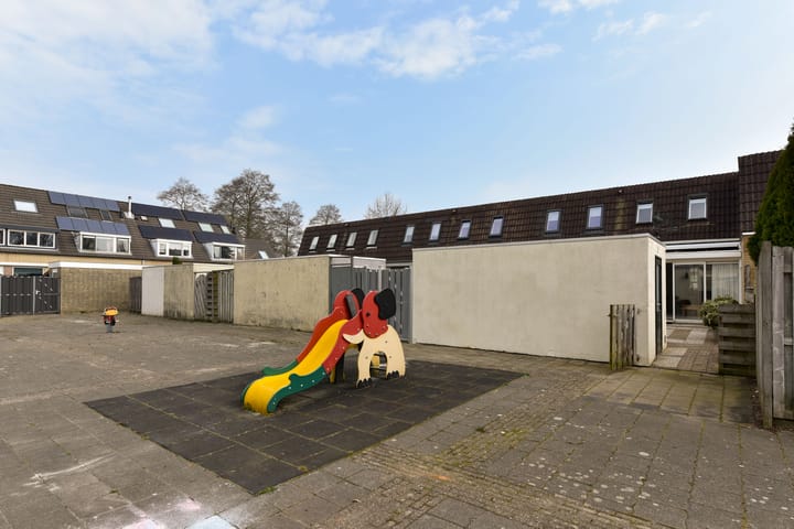 Foto 27 van Zorggras 29